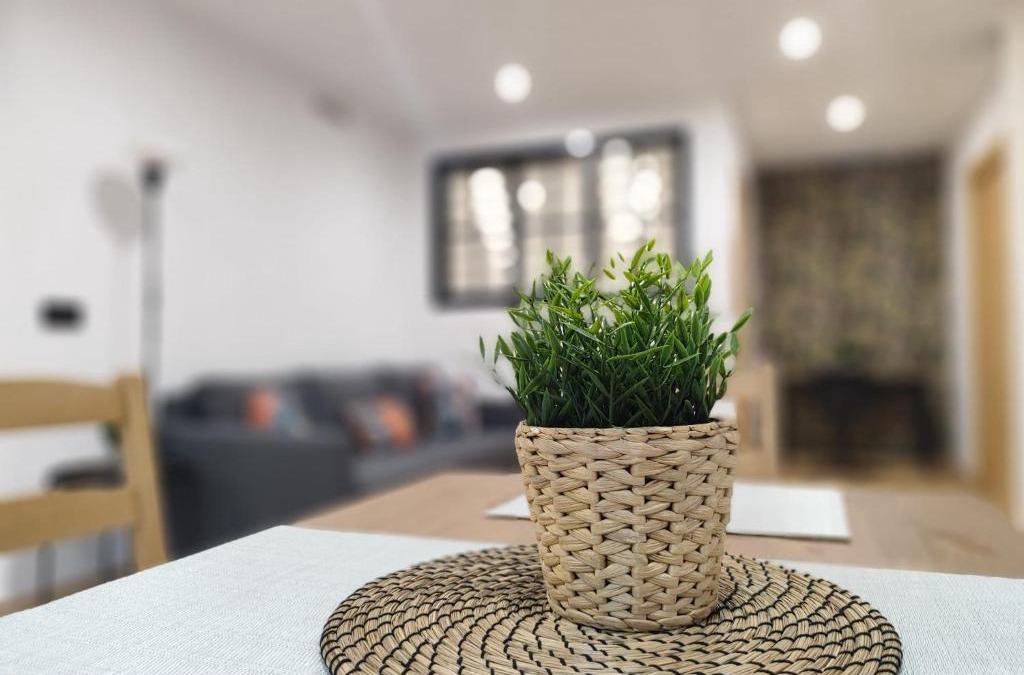 Andujar Apartment | Fernando Quero 21