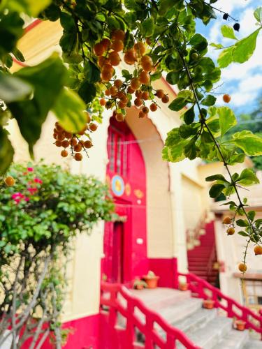 Arki House | Ferozi House x Padm Lakshmi Palace Arki