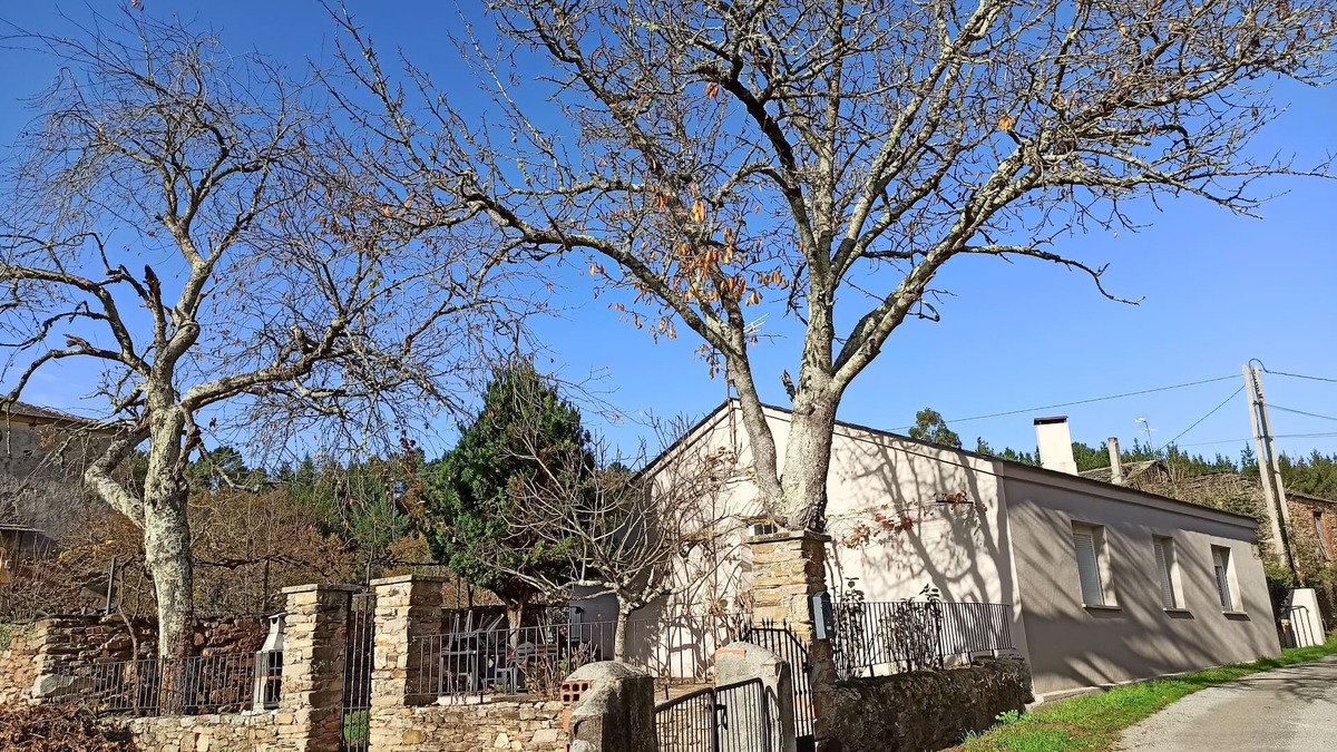 A Pobra do Brollon House | ferreirua house