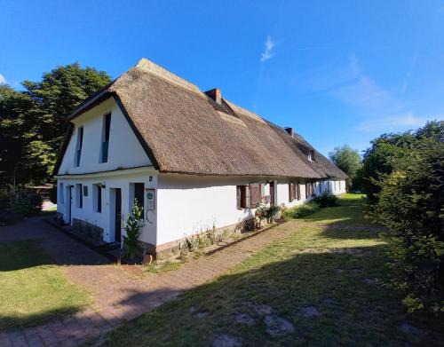 Hohen Demzin Apartment | FeWo am Skulpturenweg