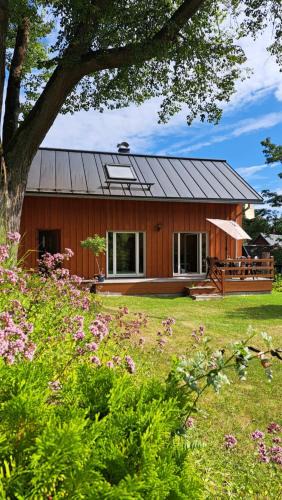 Waldidylle Apartment | Fewo bei Reuters - Haus Tellkoppe