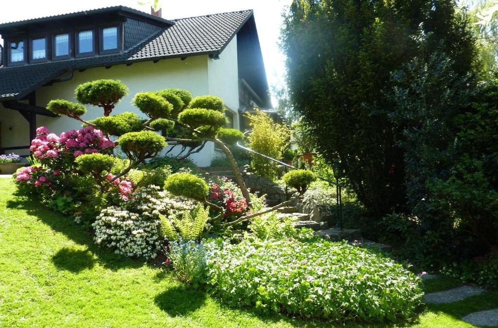 Fuchshain Apartment | Fewo-Fuchshain