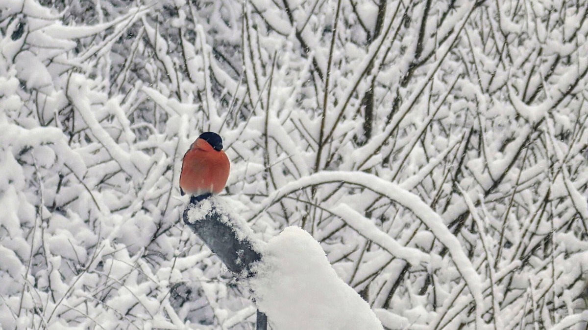 Simmerath Apartment | Fewo-Seelenruhe cozy apartment with a view of the Rursee