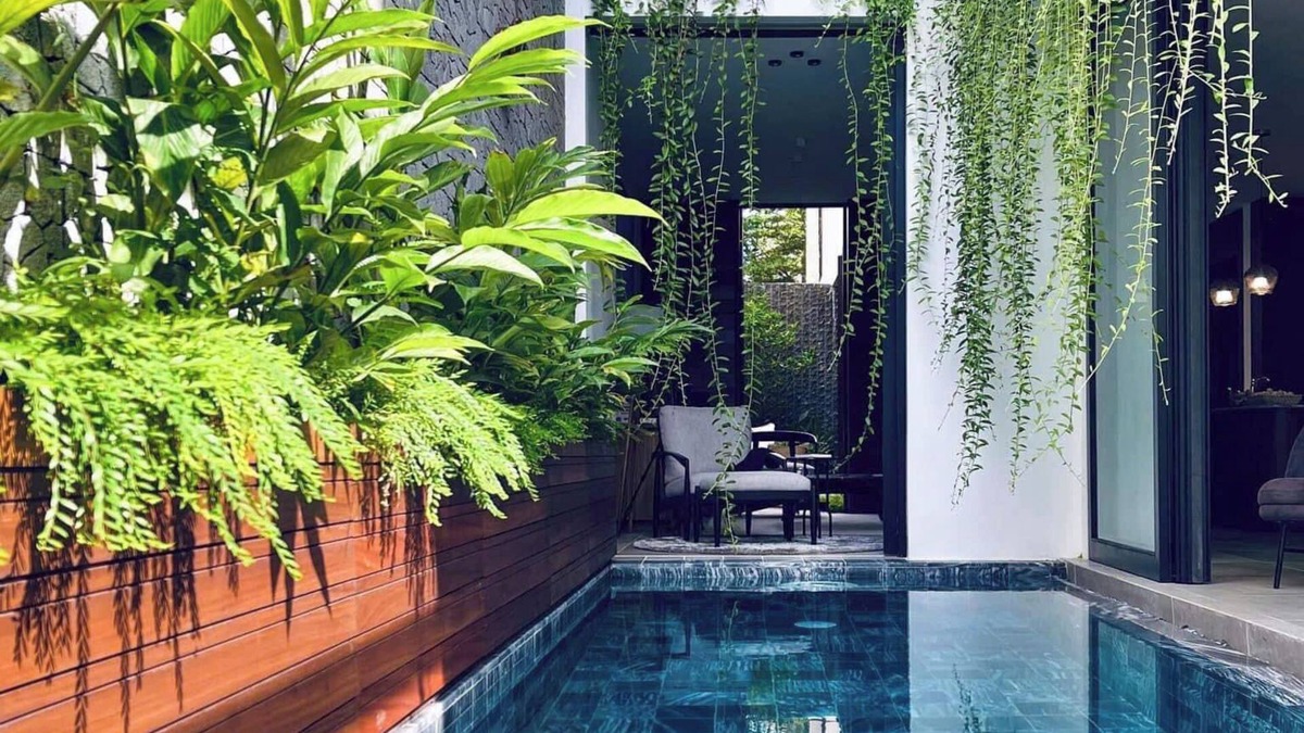 Hoa Long Hotel | Field Villa