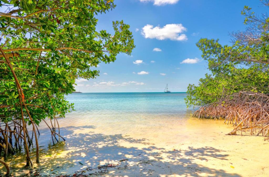 Long Key Resort | Fiesta Key RV Resort Premium Room 3