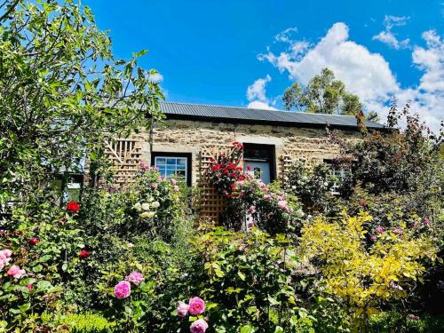 Roxburgh House | Fig Tree Cottage