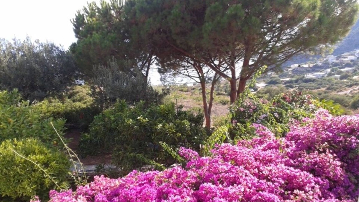 Filicudi Porto House | FILICUDI AEOLIAN HOUSE IN MANOR AEOLIAN