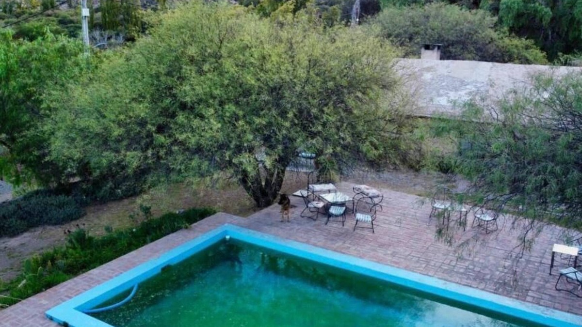 Cachi Other | Finca La Paya