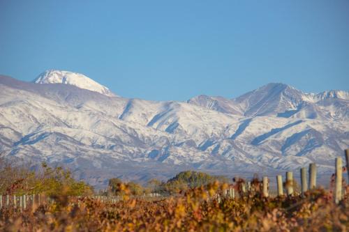 Mendoza Wine Region House | Finca La Pichona