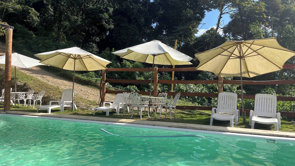 Pluma Hidalgo Other | Finca Pie de Luna