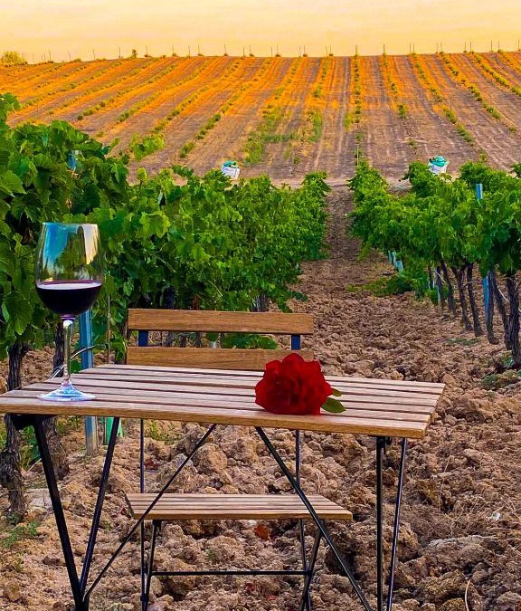 Burujon House | FINCA VALDELAJARA a 20 minutos de Puy du Fou