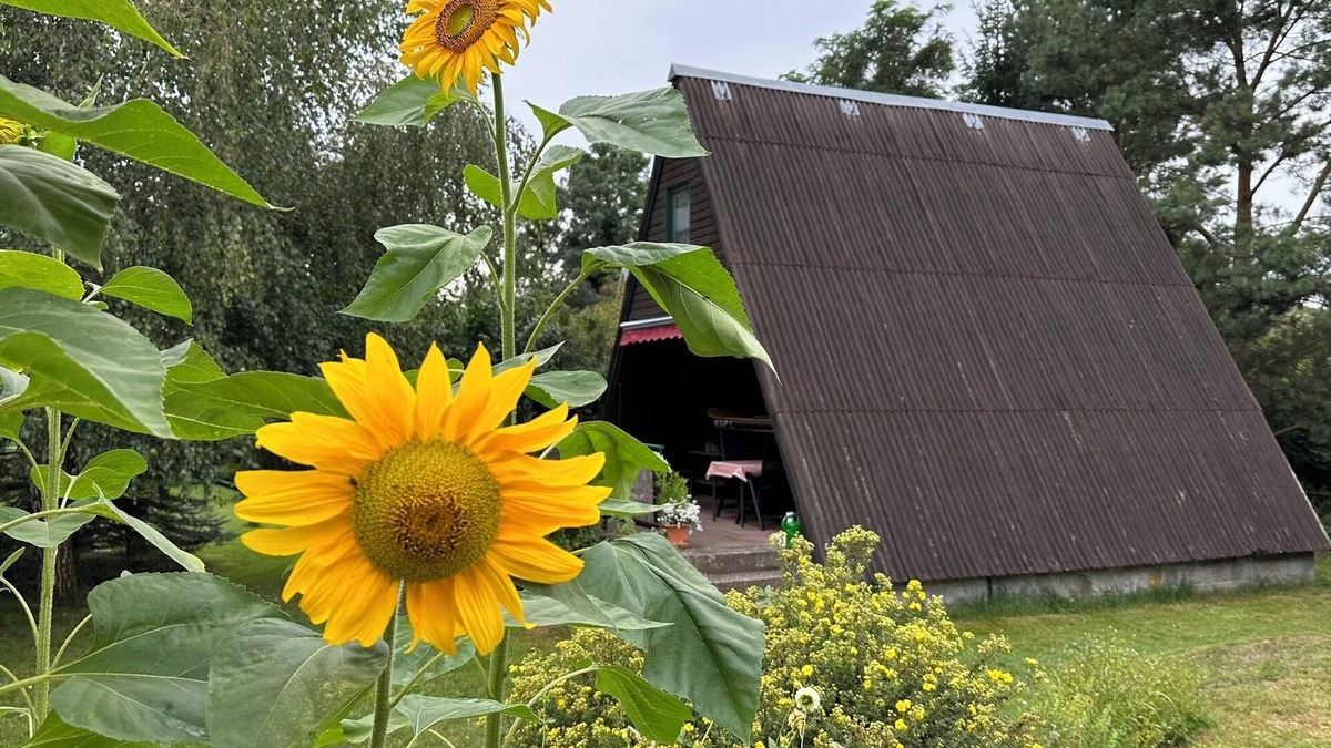 Lochow House | Finnhütten Waldesruh, a cozy house in the Westhavelland - Cabin B.