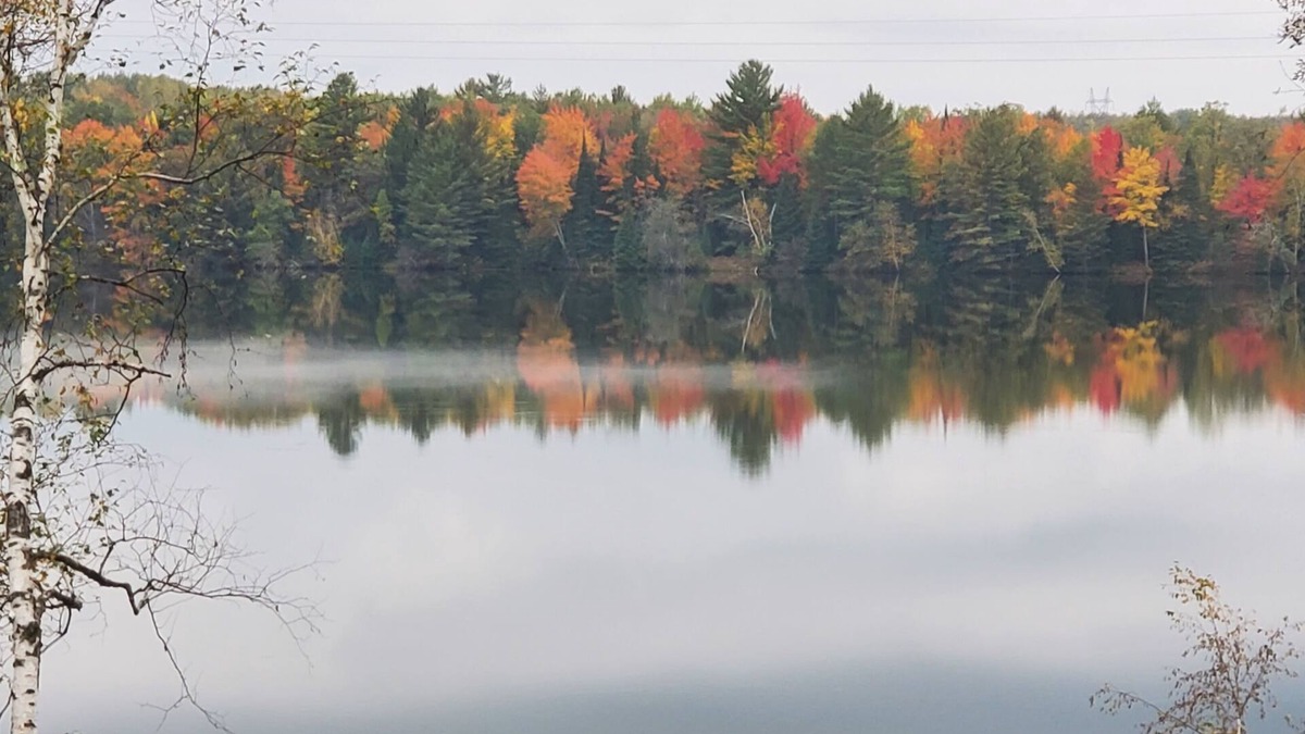 Mio Cottage | Firefly Cottage