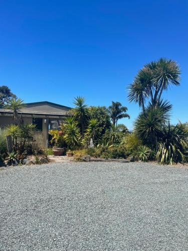 Waipu Apartment | First Light