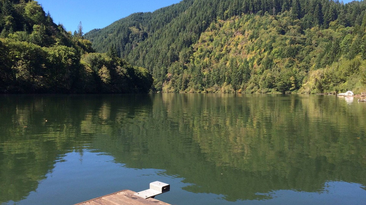 Scottsburg Cabin | Fish, hunt or relax - Riverfront Cozy 2bd Cabin on Umpqua River fenced 1.5 acres