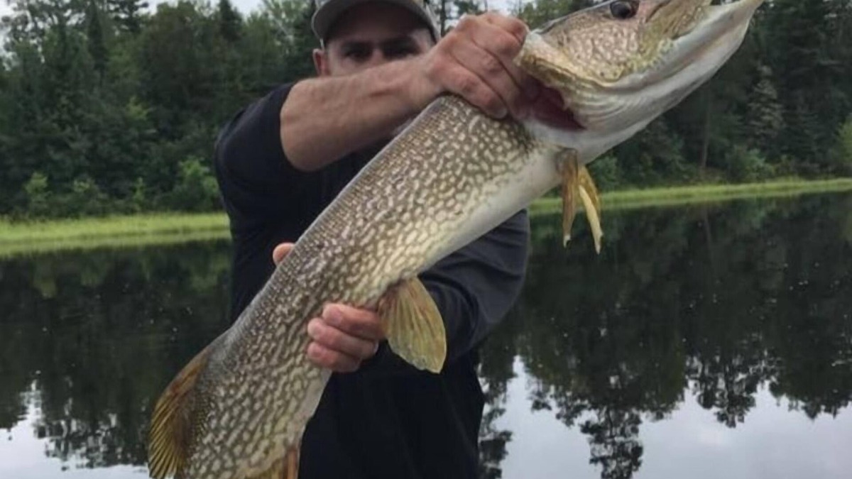 Ash River Cabin | fishing and hunting camp