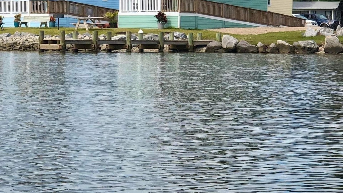 Eastpoint Cottage | (Fishing from dock) Boat launch, seafood market & bait-tackle shop next door.