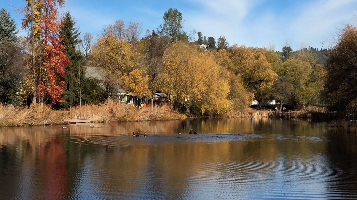 Soulsbyville Cabin | Five Bedroom Water Front Cabin