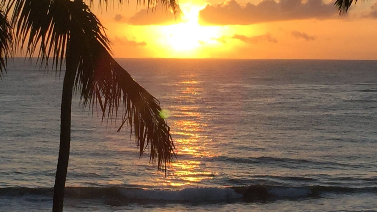 Centro Apartment | FLAT HIGH STANDARD BEACHFRONT PORTO DE GALINHAS - PE