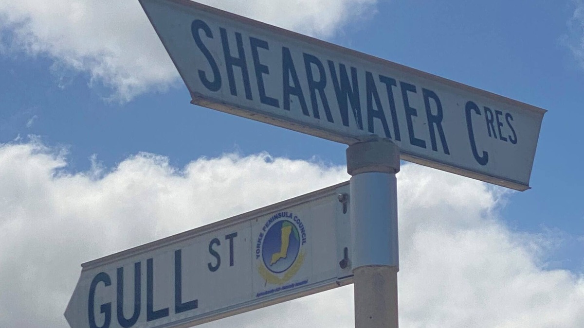 Marion Bay House | Flippers Beachouse 🐬home away from home☀️