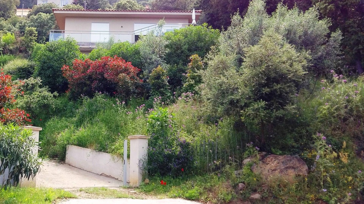 Belvedere-Campomoro House | FLOOR Villa with 2 independent floors