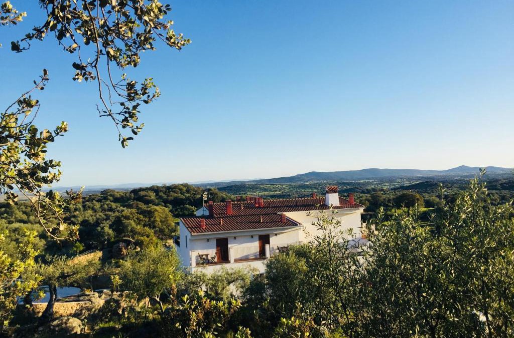 Almoharin Bed & Breakfast | Flores Amarillas B&B