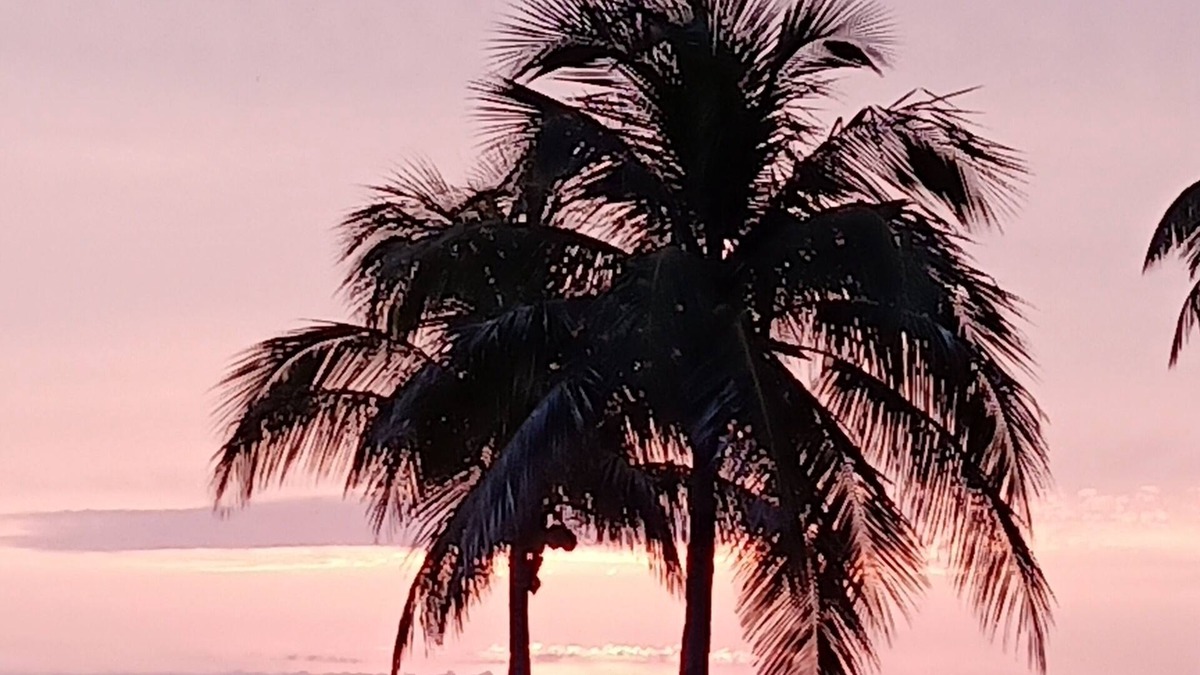 Pine Island Center House | Florida Pine Island Paradise Get-Away in Bokeelia