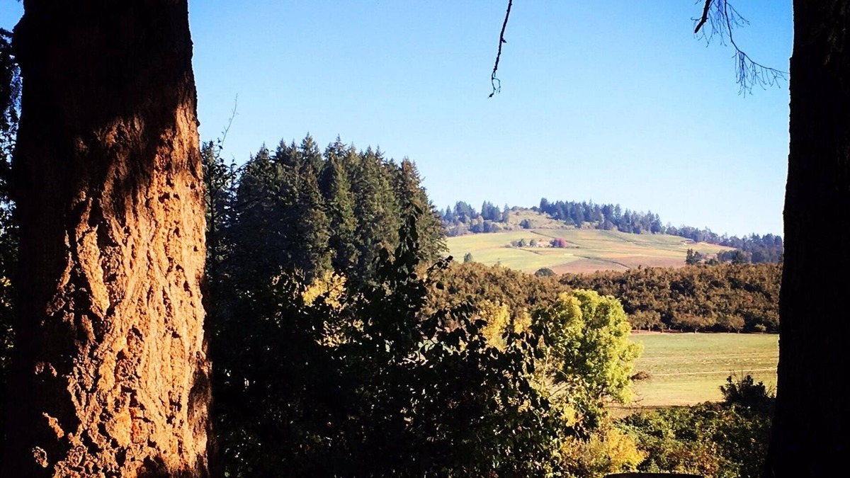 Dayton House | Flower Farm with Vineyard Views