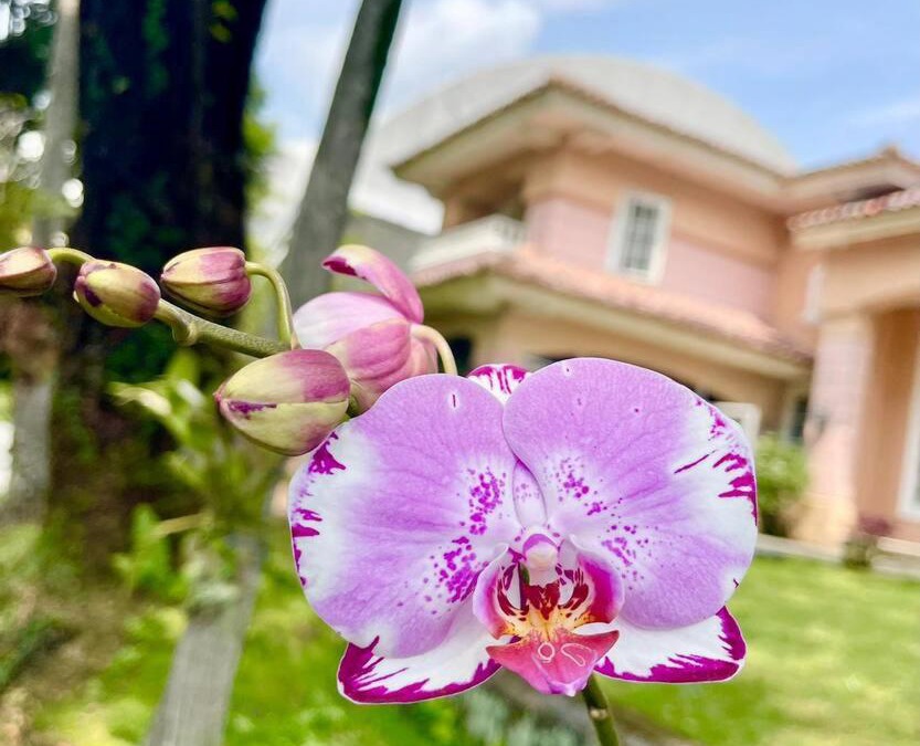 Citaringgul Villa | Flower House Villa