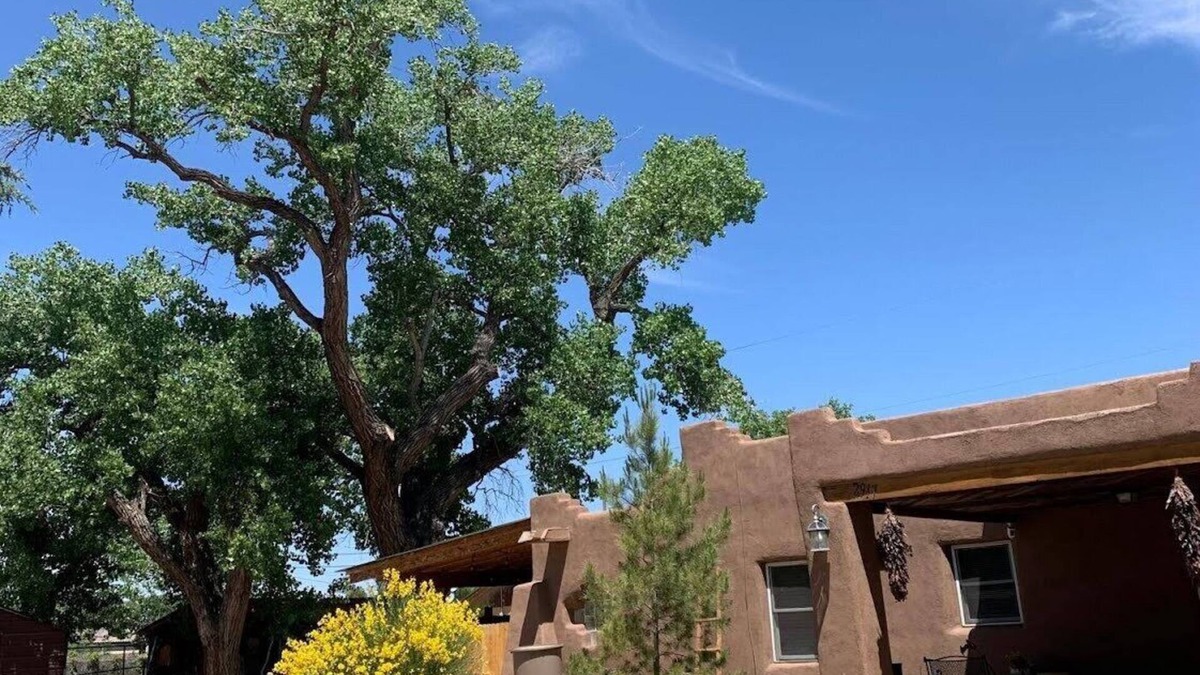 Albuquerque House | Flyover Cottage/Quaint 2-bedroom house in charming rural Albuquerque