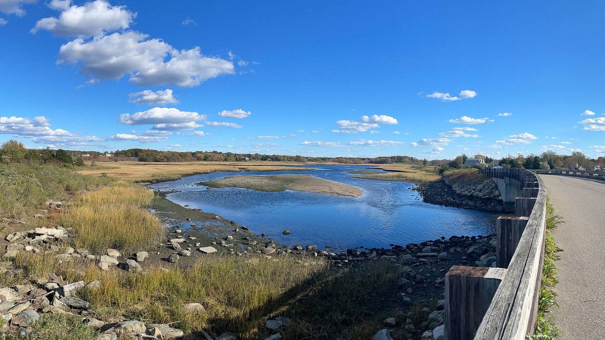 Adamsville Cottage | Fogland Beach Cottage. Pets welcome!