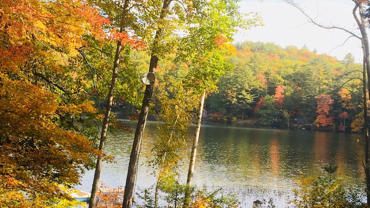 Dryden Cabin | Foliage & Great Fishing private lakeside 3 level log cabin: sleeps 8, 3bed 2bath