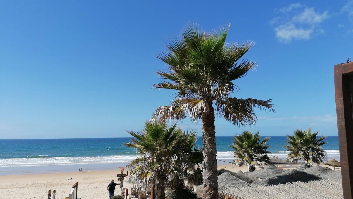 Costa de Caparica House | Fonte da Telha Cliff House