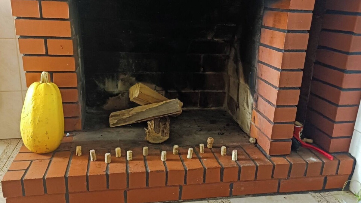 Figueiro dos Vinhos House | For those looking for peace and contact with nature