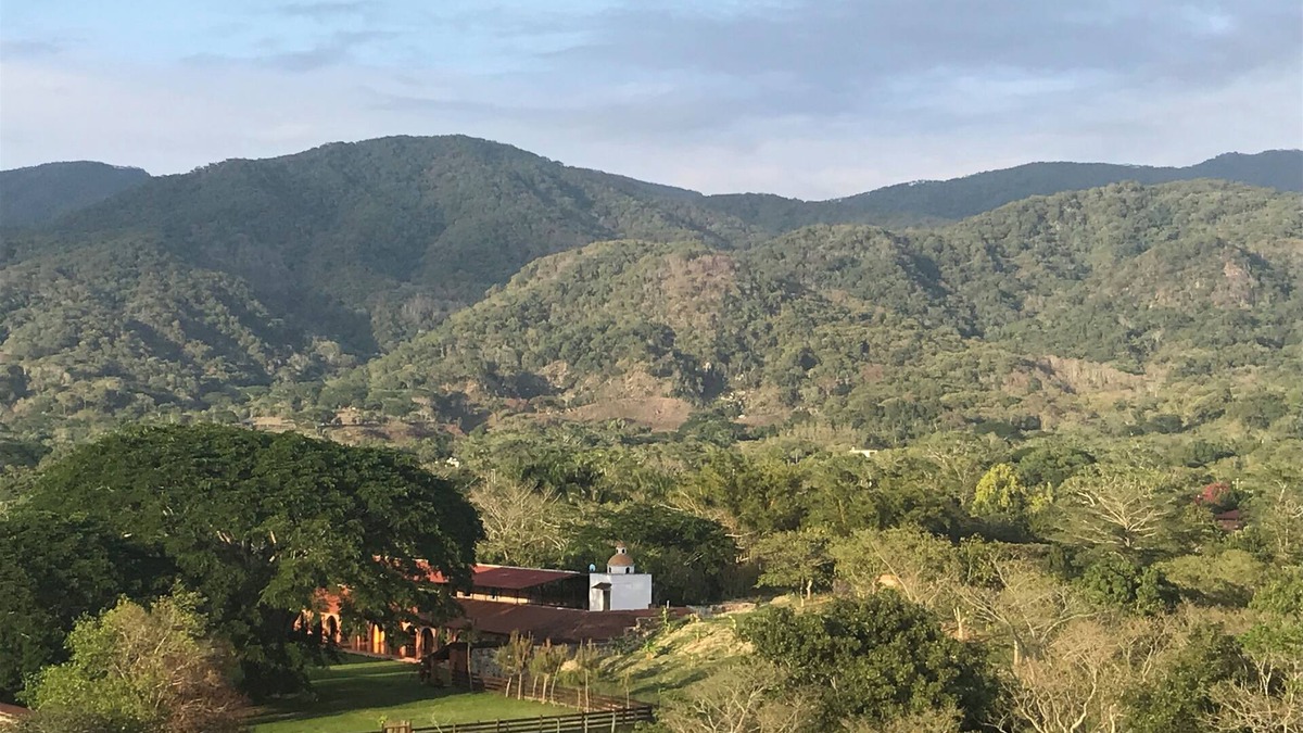 El Tuito Apartment | FOR TRAVELERS SEKING AN "AUTHENIC MEXICAN EXPERIENCE"