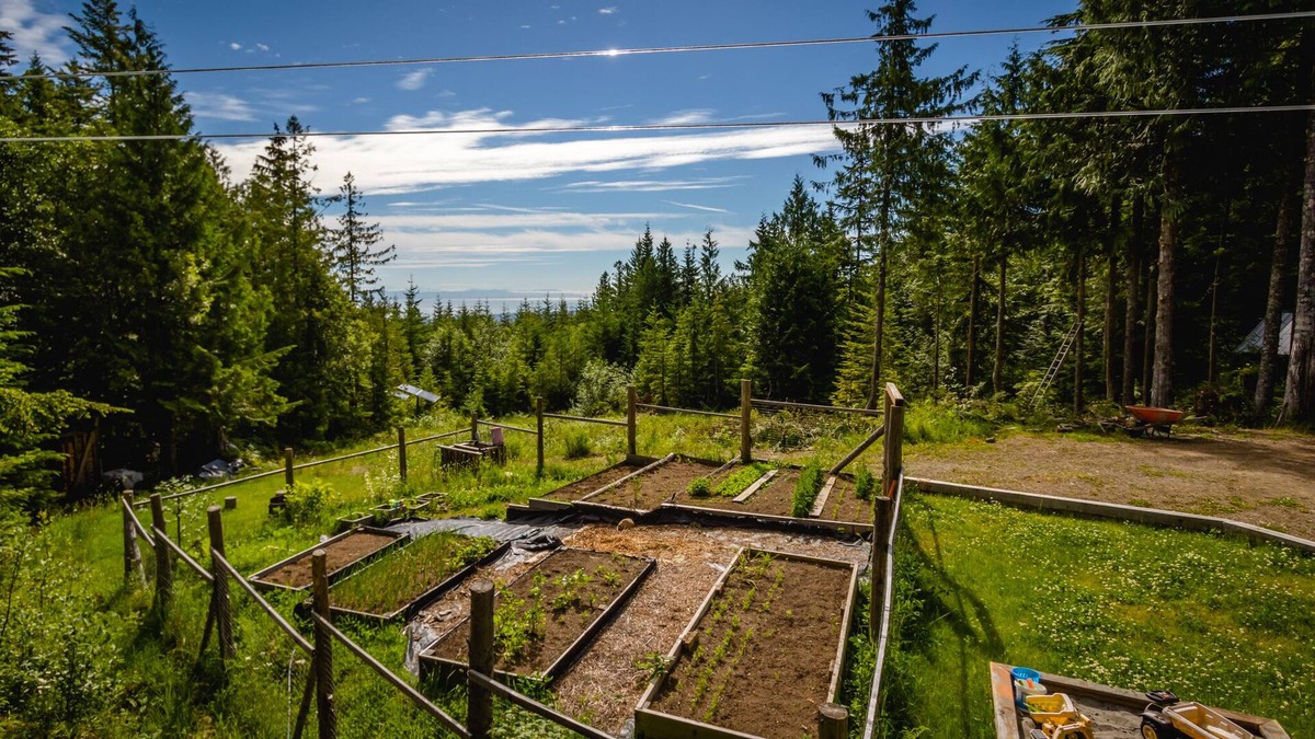 Courtenay House | Forbidden Plateau Paradise with Hot Tub