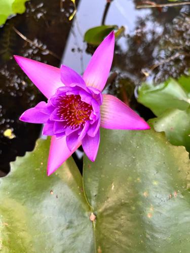 Hermsdorf Apartment | Forest Apartment Metta