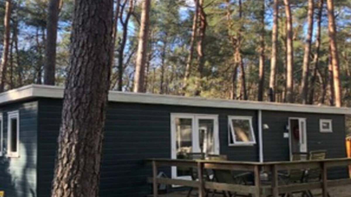 Wechelderzande Ski Chalet | Forest Chalet, Antwerp
