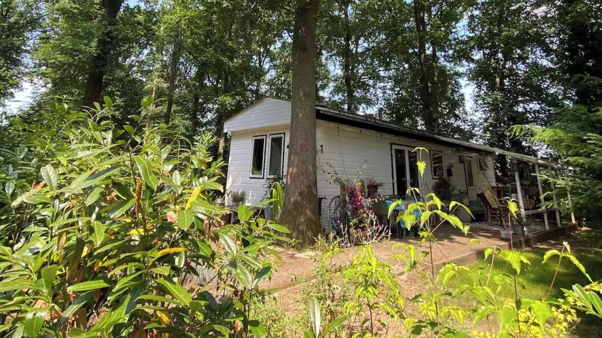 Dieren Ski Chalet | Forest cottage on the Veluwezoom