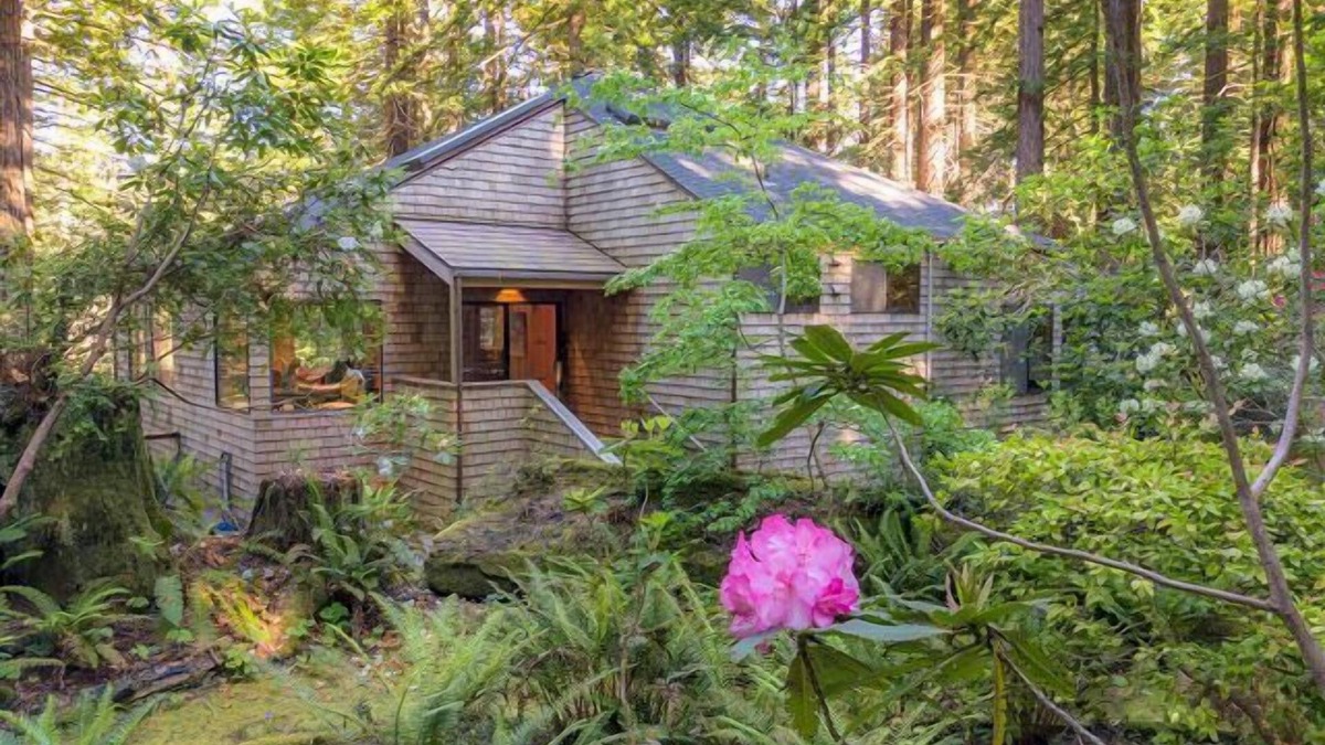 Sea Ranch House | Forest House: 2 BR, 3 BA House in The Sea Ranch, Sleeps 4