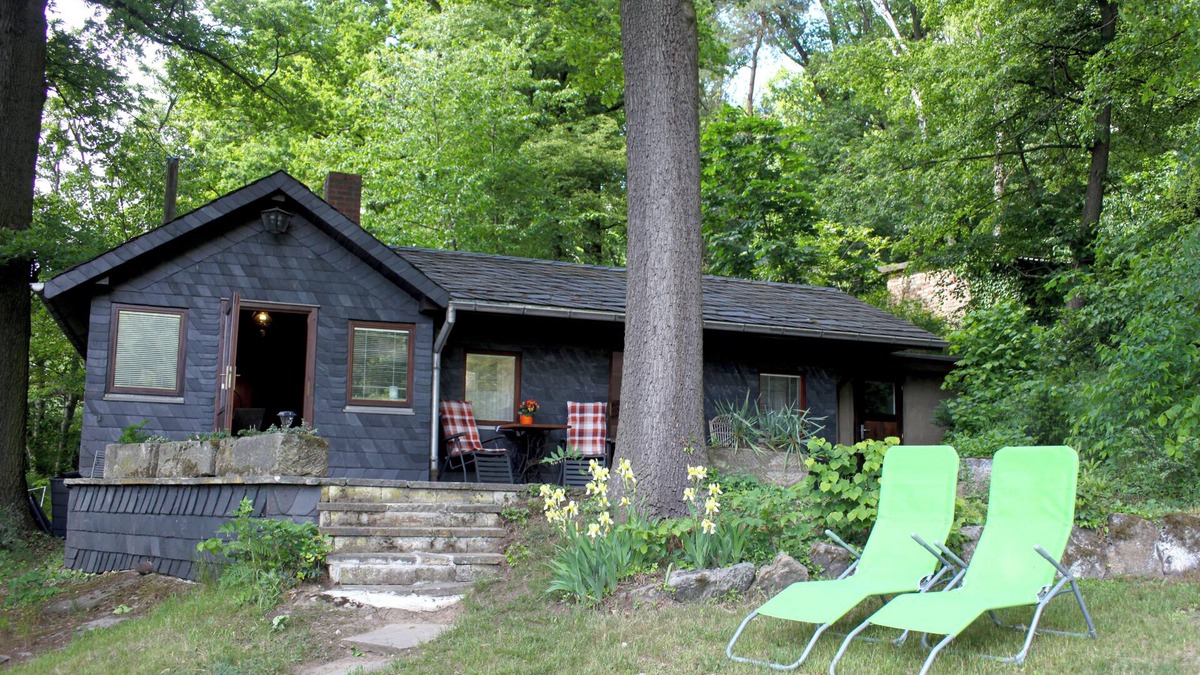Pirna House | Forest hut with a view
