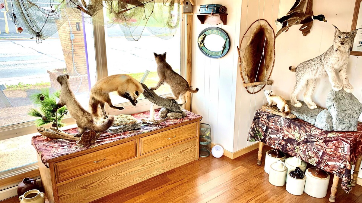 Grand Rapids Hotel | Forest Lake Motel