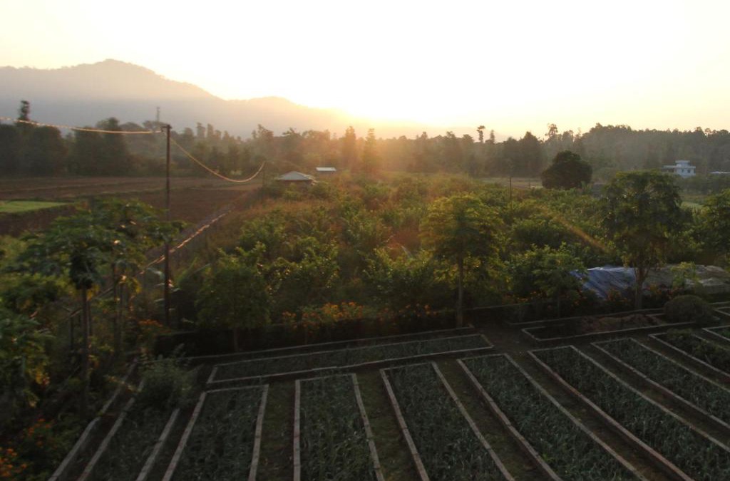 Bail Parao House | Forest Side Farm - Homestay at Kotabagh Near Nainital and Jim Corbett