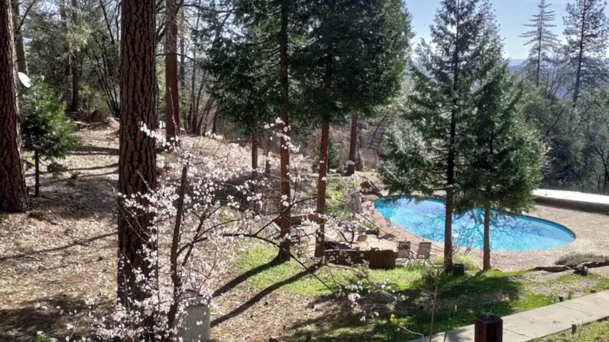 Cedar Ridge Apartment | Forest Studio with Pool & Mountain View’s