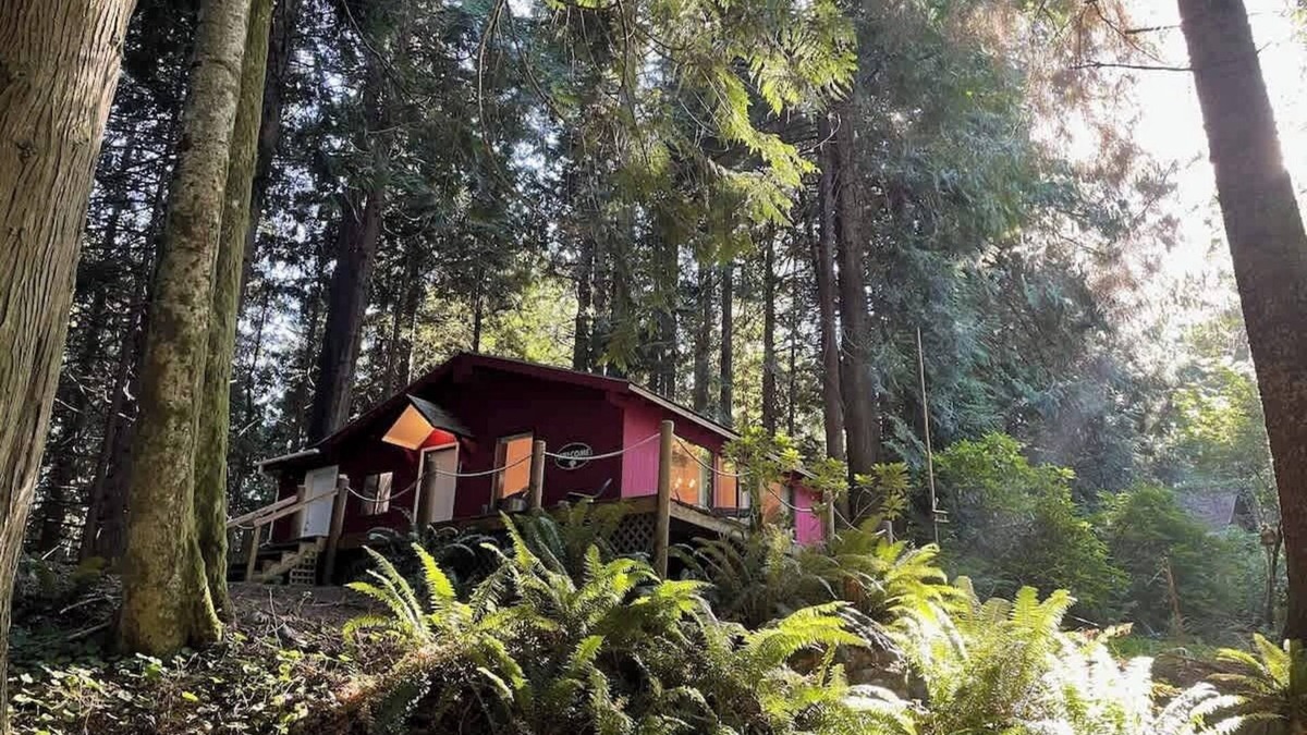 Port Angeles Cabin | Forested Cottage in the Woods, near Olympic Park