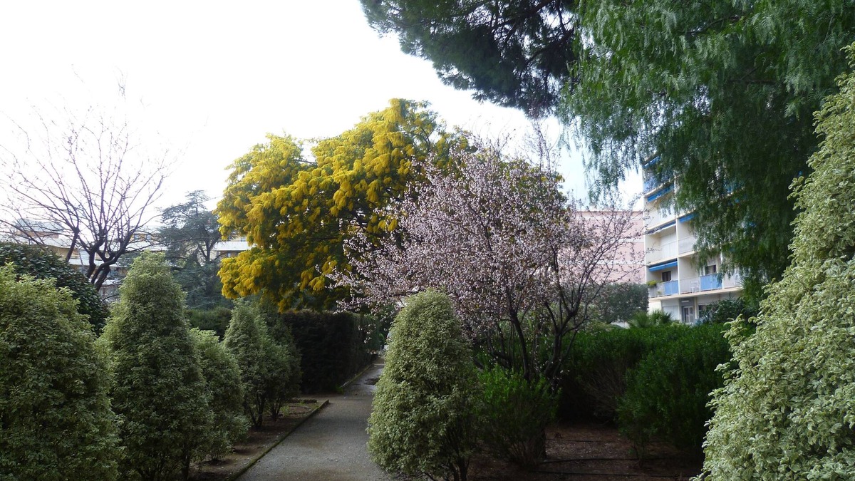 Frejus Plage Apartment | forget your car during your holidays