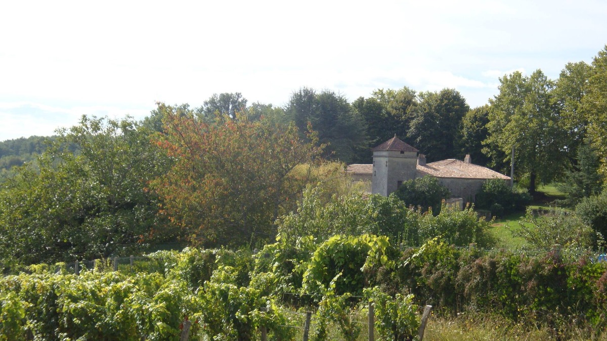 Saint-Aubin-de-Branne House | Fortified house in the interwar seas