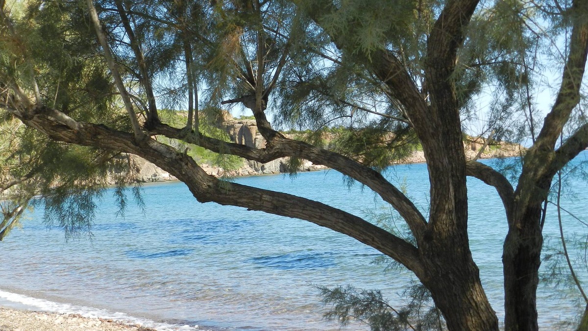 Skala Neon Kidonion Apartment | Fotis apartments and house