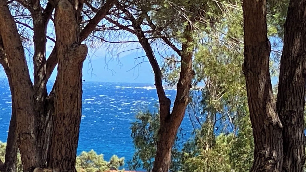 Marine de Saint Ambroggio Villa | VILLA WITH HEATED SWIMMING POOL: 300m FROM THE BEACH