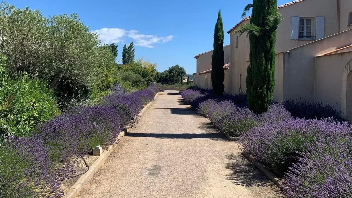 Saint-Laurent-de-la-Cabrerisse Villa | Wake Up In a French Villa Surrounded by a Vineyards and Beautiful Scenery.